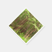 Redwood Treins bij Muir Bossen National Monument Servet (Hoek)