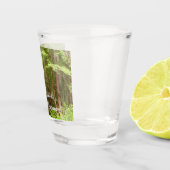 Redwood Treins bij Muir Bossen National Monument Shot Glas (Rechts)