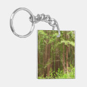 Redwood Treins bij Muir Bossen National Monument Sleutelhanger (Voorkant Links)