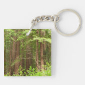 Redwood Treins bij Muir Bossen National Monument Sleutelhanger (Achterkant)