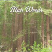 Redwood Treins bij Muir Bossen National Monument Sticker (Voorkant)