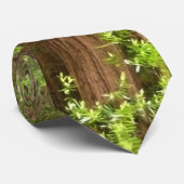 Redwood Treins bij Muir Bossen National Monument Stropdas (Opgerold)