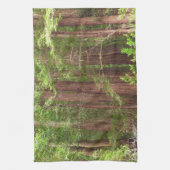 Redwood Treins bij Muir Bossen National Monument Theedoek (Verticaal)