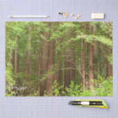 Redwood Treins bij Muir Bossen National Monument Tissuepapier (Craft)