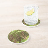 Redwood Treins bij Muir Bossen National Monument Zandsteen Onderzetter (Zijkant)