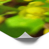 Redwood Vlinder en Wildbloemen Poster (Hoek)