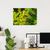 Redwood Vlinder en Wildbloemen Poster (Thuiskantoor)