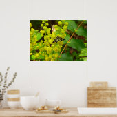 Redwood Vlinder en Wildbloemen Poster (Keuken)