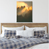 Redwoodbomen in kustnevel, Marin County, Canvas Afdruk (Insitu (Slaapkamer))