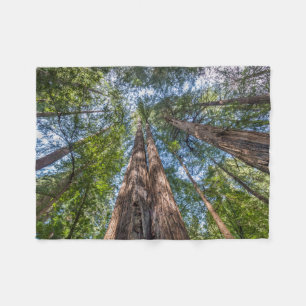 Redwoodbomen   Marin County, Californië Fleece Deken