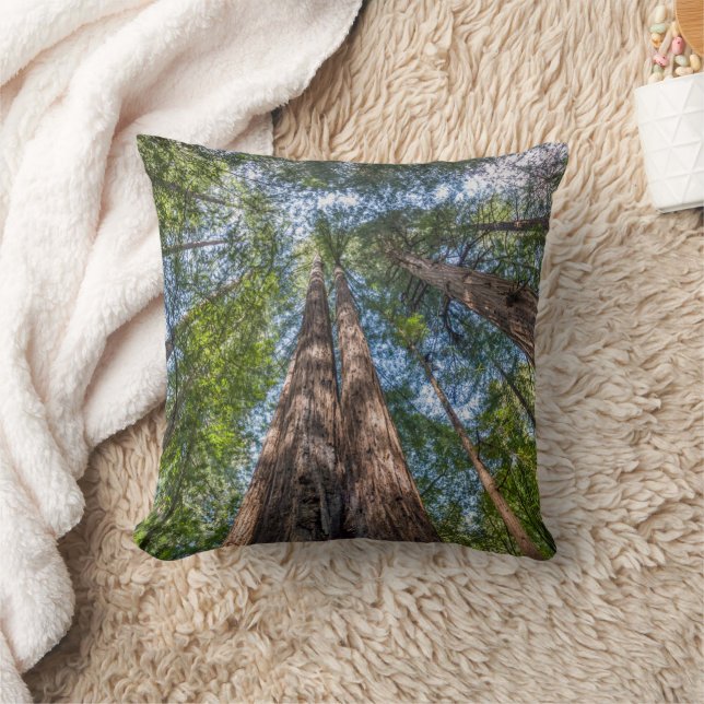 Redwoodbomen | Marin County, Californië Kussen (Deken)