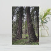 Redwoodbos Feestdagenkaart (Staand voorkant)