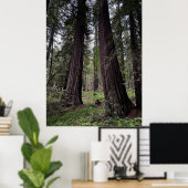 Redwoodbos Poster (Thuiskantoor)