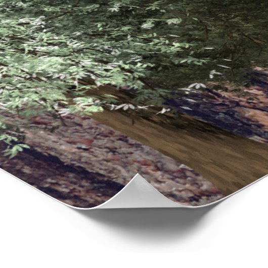 Redwoods & Bark, Rustiek Tafelplan Poster (Hoek)