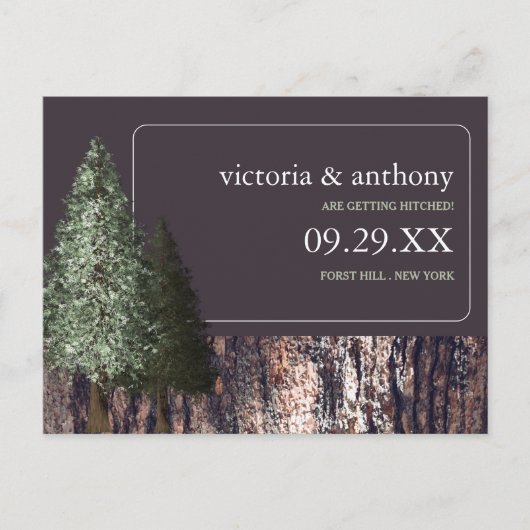 Redwoods & Bark, Rustieke bruiloft Save the Date Aankondigingskaart (Voorkant)