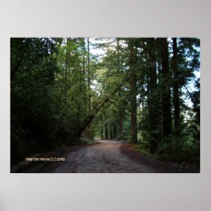 Redwoods Mountain Road Poster