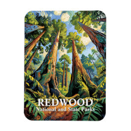 Redwoods National Park California Van Gogh Custom Magneet