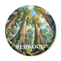 Redwoods National Park Californië bos schilderij