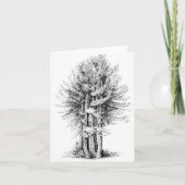 Redwoods Notecard Kaart (Voorkant)