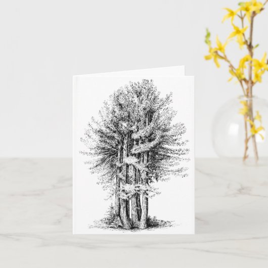 Redwoods Notecard Kaart (Gele Bloem)