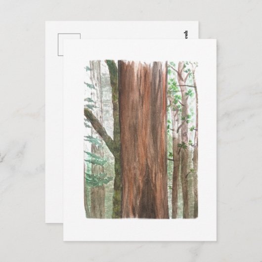 redwoods postcard briefkaart (Voorkant / Achterkant)