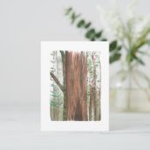 redwoods postcard briefkaart (Staand voorkant)