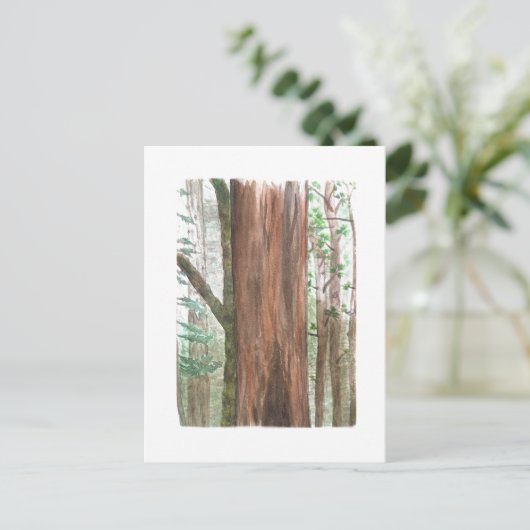 redwoods postcard briefkaart (Staand voorkant)