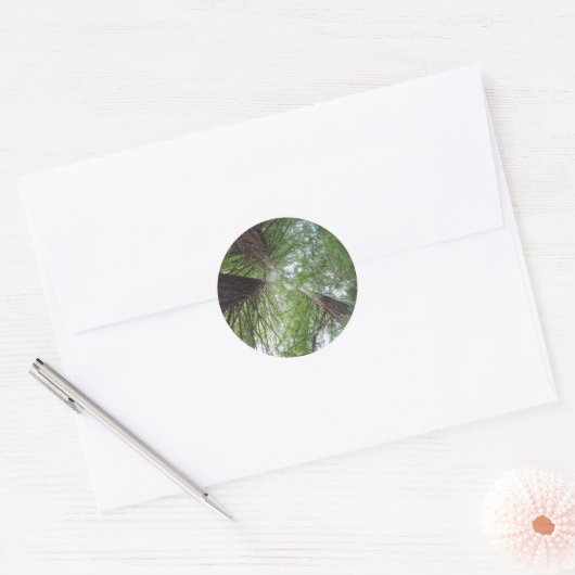 Redwoods Sticker (Envelop)