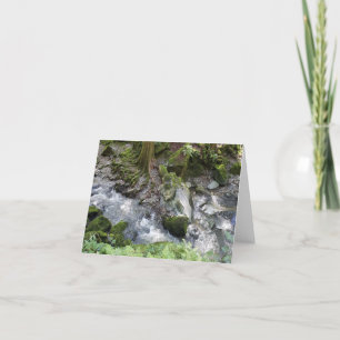 Redwoods stroom cascading over rotsen notecard bedankkaart