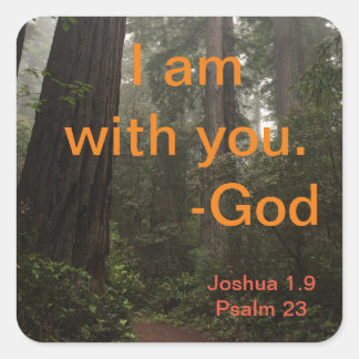 Redwoods wandelpad vierkante sticker