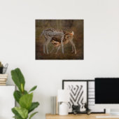 Ree en jong, zogend foto poster (Thuiskantoor)