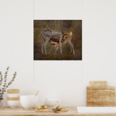 Ree en jong, zogend foto poster (Keuken)