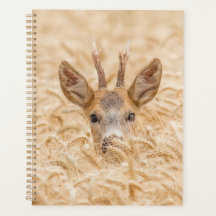 Ree in gouden tarwe natuurbeeld
