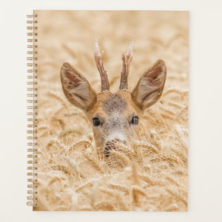 Ree in gouden tarwe natuurbeeld planner