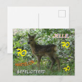 Ree in het bos op verjaardagsansichtkaart 70 jaar briefkaart (Voorkant / Achterkant)