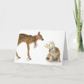 REE MET HULPHOND KERSTKAART KAART (Voorkant)