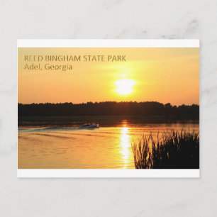 REED BINGHAM STATE PARK - Adel, Georgia Briefkaart