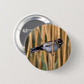 Reed Bunting Button Badge (Voorkant /achterkant)
