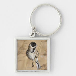Reed Bunting (Emberiza schoeniclus), doordrukt in Sleutelhanger