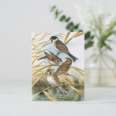 Reed Buntings  Bird Illustration Briefkaart (Staand voorkant)