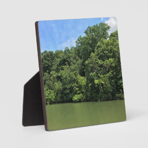 Reed Creek, Wytheville, Virginia Fotoplaat