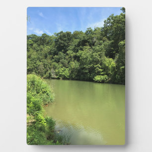 Reed Creek, Wytheville, Virginia Fotoplaat