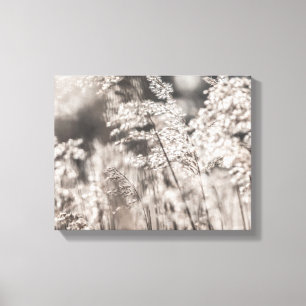 Reed Natuur Foto Canvas Afdruk