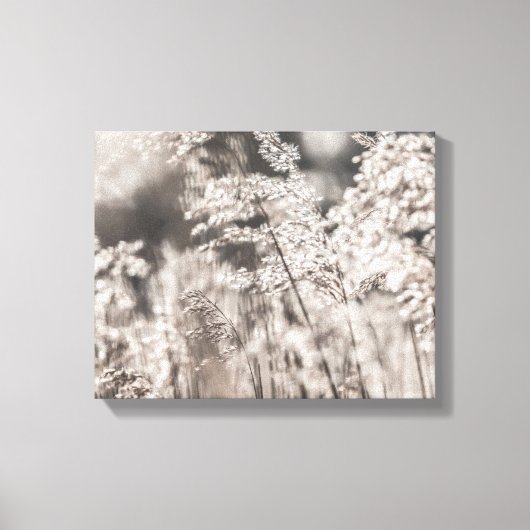 Reed Natuur Foto Canvas Afdruk (Voorkant)