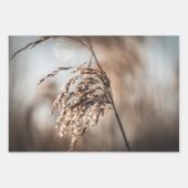 Reed Natuur Foto Inpakpapier Vel (Voorkant)