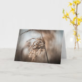Reed Natuur Foto Kaart (Gele Bloem)
