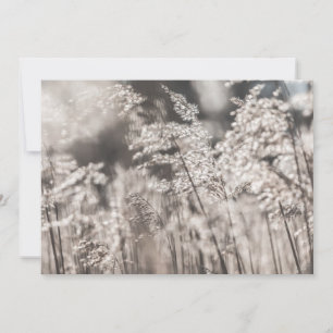 Reed Natuur-fotokaart