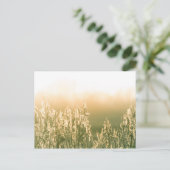 Reed Sunset Natuur Foto Briefkaart (Staand voorkant)
