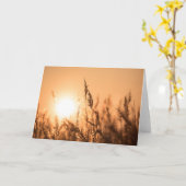 Reed Sunset Natuur Foto Kaart (Gele Bloem)