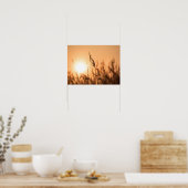 Reed Sunset Natuur Foto Poster (Keuken)